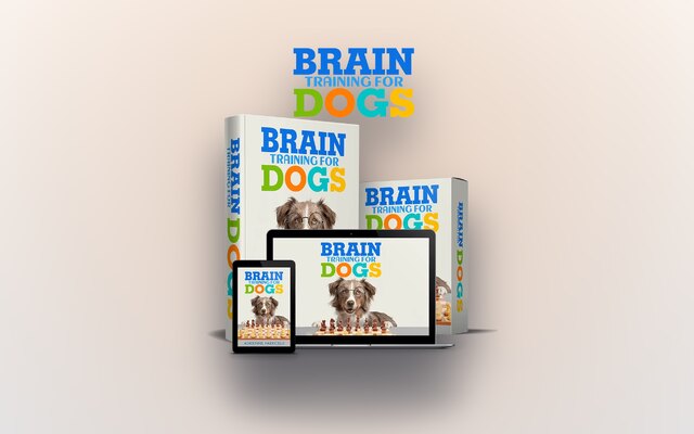 Brain Training For Dogs